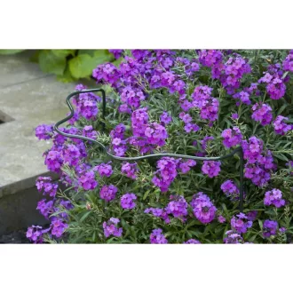 Növénytámasz O6mm with shell edge zöld H100x45x24cm – Növénytámaszok