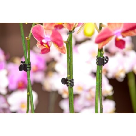 Orchidea rögzítő fekete 10db-os szett