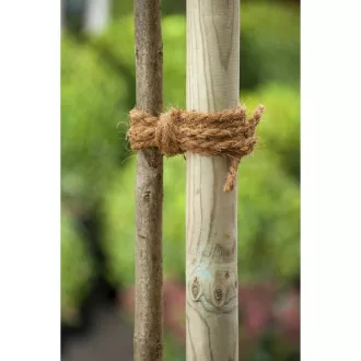 Kókusz spárga 8,5mm x15 m – Raffiakötöző, zsineg