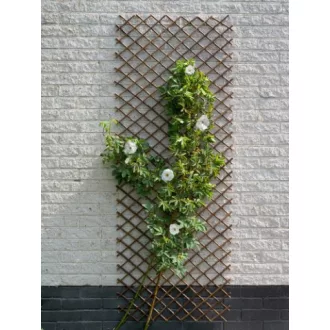 Fűzből készült futtatórács 60x180 cm – Növényfuttató