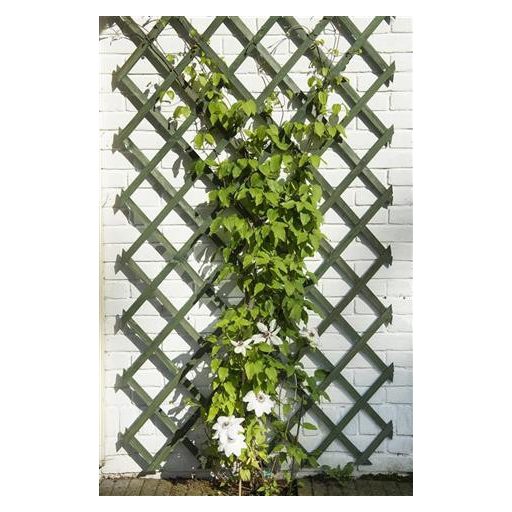 fa-futtatoracs-50x150-zold