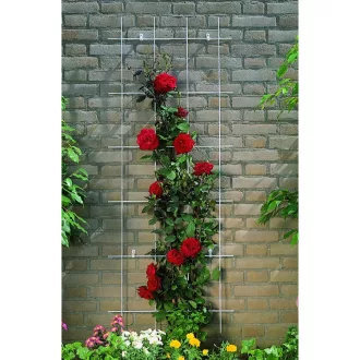 Metal futtató zöld műanyag bevonat 145x57cm – Növényfuttató