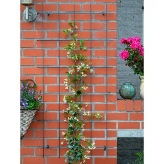 Metál futtató zöld, műanyaggal bevont H145x72,5cm – Növényfuttató