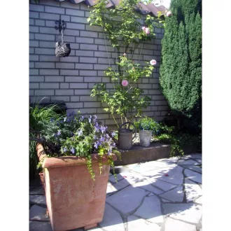 Metal futtató műanyagbevonattal V alakú zöld 145x5/75 cm zöld – Növényfuttató