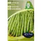 Rédei Bokorbab Sintra 50g (Vetőmag) – Palántázás