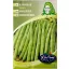 Rédei Bokorbab Sintra 50g (Vetőmag) – Palántázás