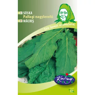 redei-soska-pallagi-nagylevelu