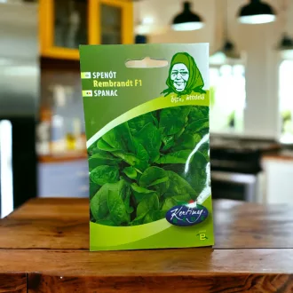 redei-spenot-rembrandt-f1