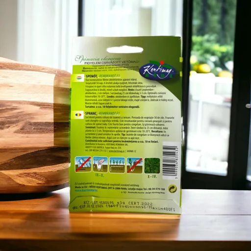 redei-spenot-rembrandt-f1