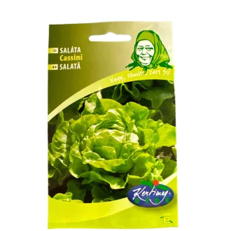 redei-fejessalata-cassini