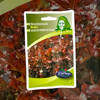 redei-salata-redin-tolgylevelu