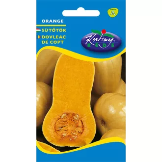 Rédei Sütőtök Nectar Orange (Vetőmag) – Palántázás