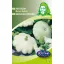 Rédei Patisszon Óvári fehér 6g (Vetőmag) – Palántázás