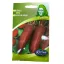 Rédei Cékla Alto 2g (Vetőmag) – Palántázás