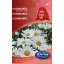 Rédei Margaréta Május királya fehér 0,25g (Virágmag) – Palántázás