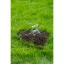 Üregi rágcsáló csapda rugós 13 x 10 x8 cm – Vakond, nyest, rágcsáló, vad ellen
