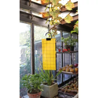 legyfogo-papir-5db-os