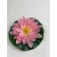 Selyemvirág,tavirózsa 14cm pink – Tavirózsák