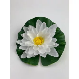 Tavirózsa fehér 28cm – Tavirózsák