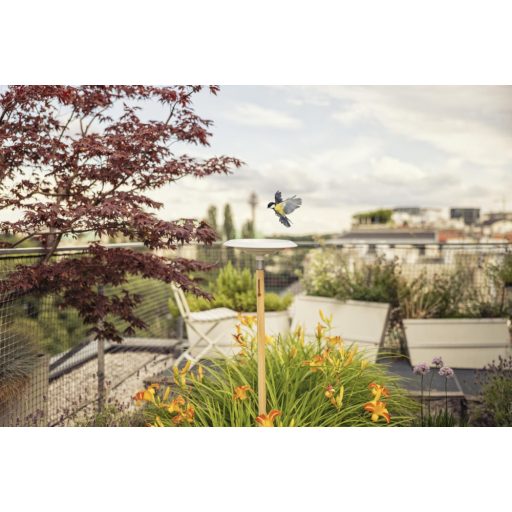 ClickUp! Madárfürdő