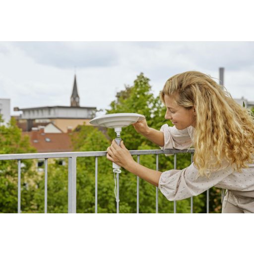 ClickUp! Madárfürdő