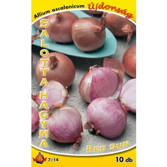 Salotta Red Sun / Dughagyma 10 db (LA)