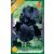 Iris Germanica Black / Nősziromfekete 1 db virághagyma