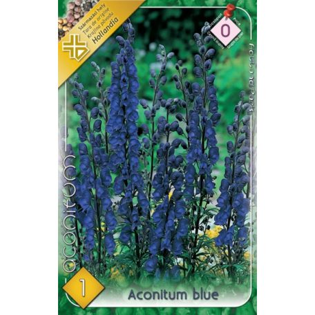 Aconitum blue / Sisakvirág