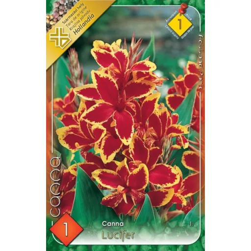 Kánna Lucifer / Canna - 1 db/ csomag (LA)