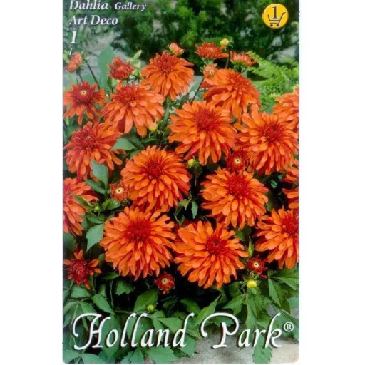 Dahlia Gallery Art Deco narancs dália