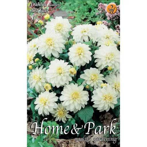 Dahlia Gallery Art Fair fehér dália