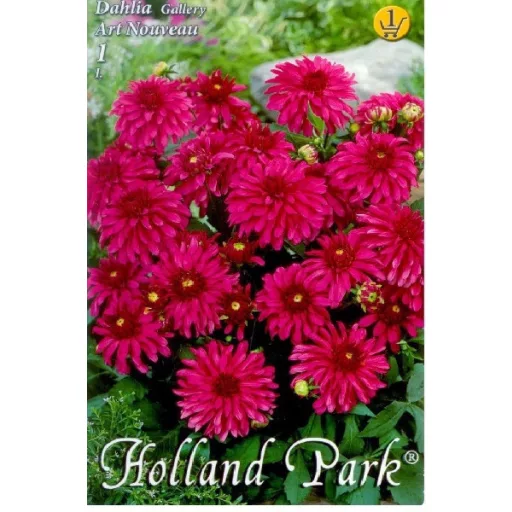 Dahlia Gallery Art Nouveau rózsaszín dália