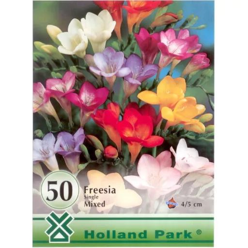 Freesia Single Mixed színes frézia