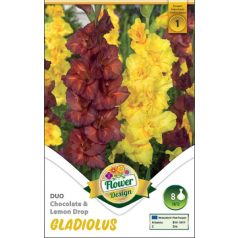   Gladiolus Chocolate-Lemon Drops duo / Kardvirág duo 8 db (LA)