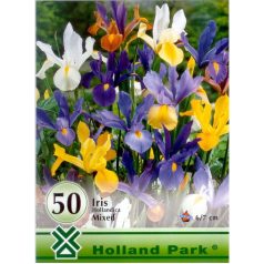 Iris hollandica mixed / Nőszirom színkeverék 50 db