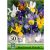 Iris hollandica mixed / Nőszirom színkeverék 50 db