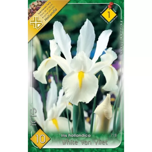 Iris hollandica White van Vliet fehér nőszirom