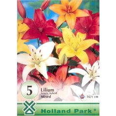   Lilium asiatic hybrid mixed / Liliom ázsiai hybrid színkeverék 5db