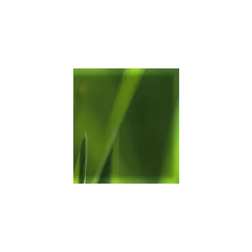 Pannon Grass liget/díszpázsit fűmag keverék (250 m2)