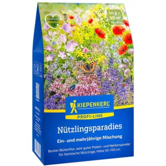 kiepenkerl-hasznos-rovarok-kertje-40m2