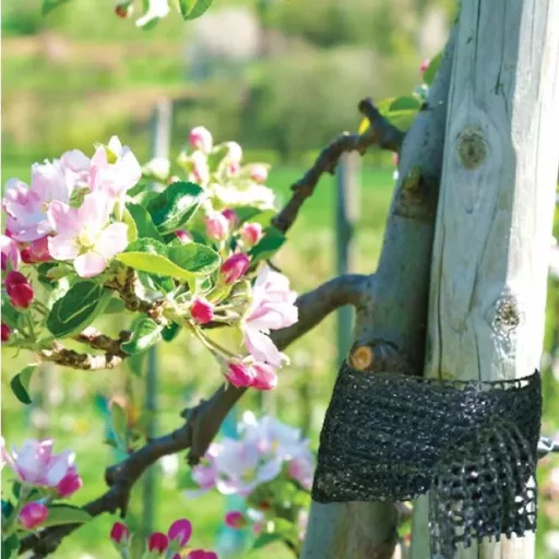 Flexibilis kötöző  5,0 x 50 m