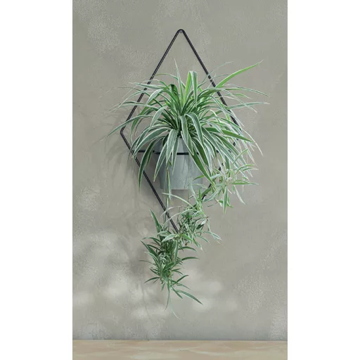 Kaspó Akasztó Showy 1S