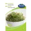 Rédei Zsázsamag BIO 30g – Csírák, csíráztatók