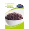 Rédei Vörökáposzta BIO 15g (Vetőmag)