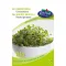Rédei Brokkoli BIO 15g (Vetőmag)