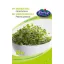 Rédei Brokkoli BIO 15g (Vetőmag) – Csírák, csíráztatók