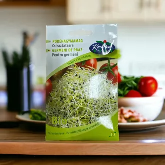 Rédei Póréhagyma BIO 15g (Vetőmag)