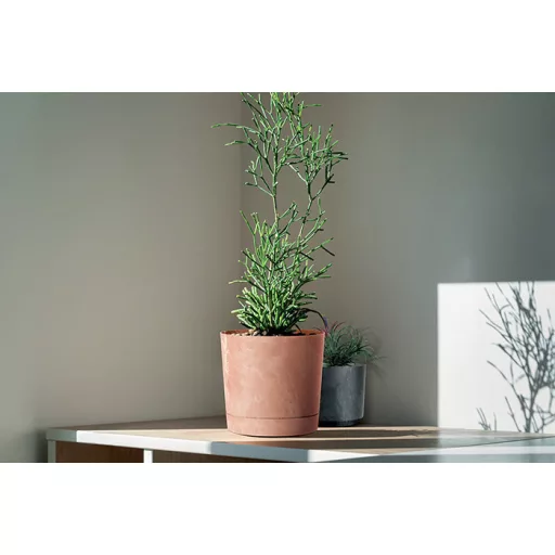 Virágcserép 350E Tubo P Beton Effect -  Terrakotta