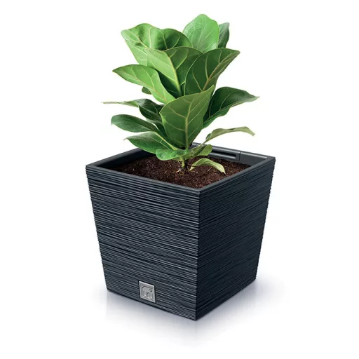 Virágcserép 300 Furu Square Low - Antracit – Virágcserepek, virágládák