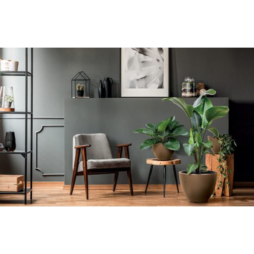 Virágcserép Bm 570W Heos Eco Wood  - Natúr